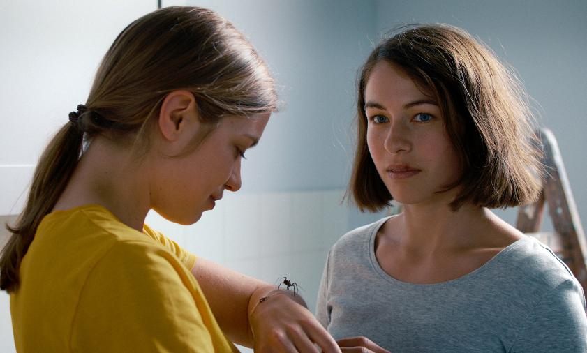 Победителем фестиваля дебютного кино в Новой Голландии стала картина «Девушка и паук» 